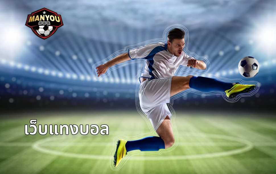เว็บแทงบอล
